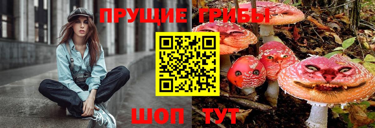 Нижний Новгород  Псилоцибиновые грибы мицелий  Вход с VPN 